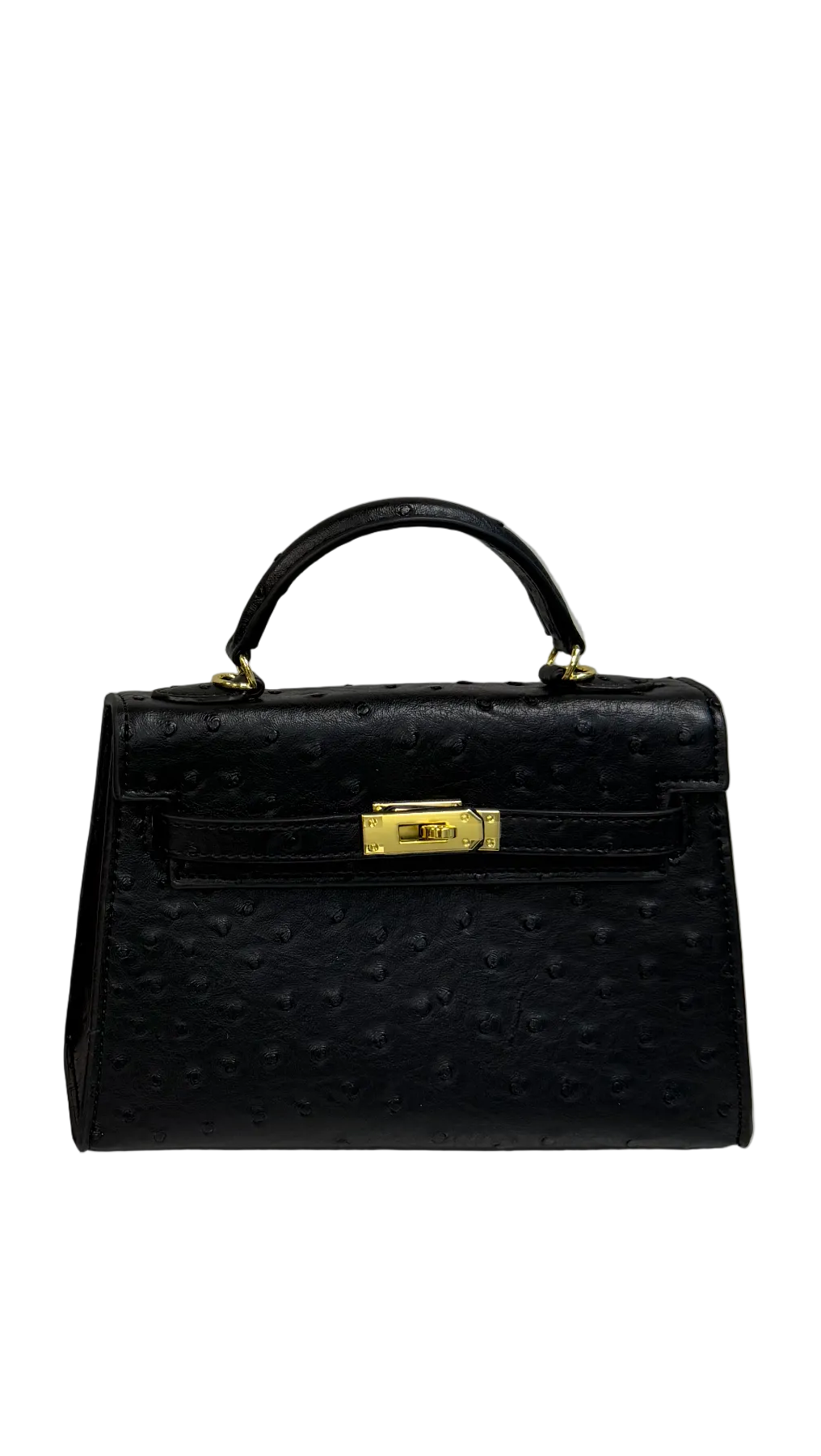 ONYX OSTRICH
